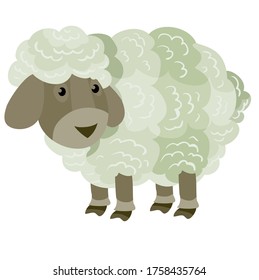 cute little sheep from the farm, flat, isolated object on a white background, vector illustration, eps