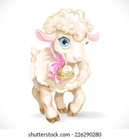 Cute little sheep isolated on a white background