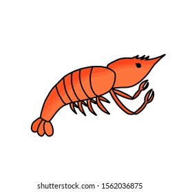 Cute little shrimp on white background