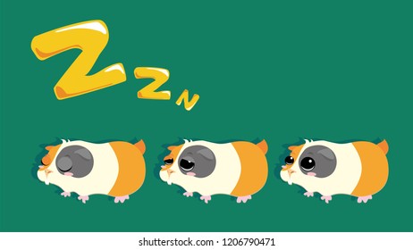 Cute little sleeping Hamster isolated on green background