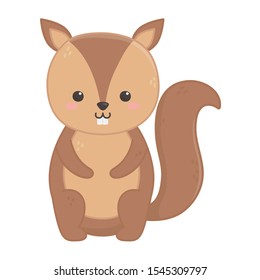 cute little squirrel animal cartoon vector illustration