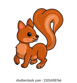 Cute little squirrel cartoon posing