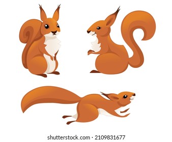 Cute little squirrel jumping down. Side view. Cartoon animal character design. Flat vector illustration isolated on white background.