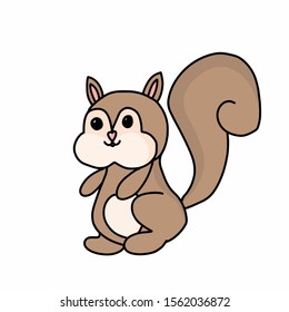 Cute little squirrel on white background
