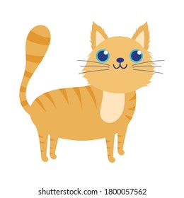 cute little striped cat pet cartoon isolated white background design vector illustration