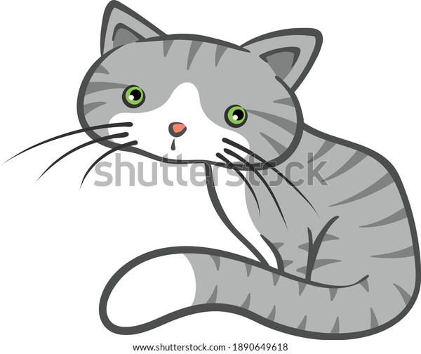 Joli Petit Chat En Eclat Reste Image Vectorielle De Stock Libre De Droits