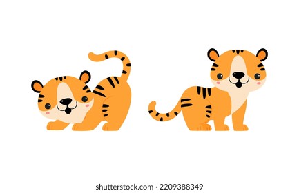 Cute Little Striped Tiger Cub with Orange Fur Playing and Standing Vector Set