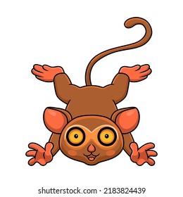 Cute little tarsier cartoon posing