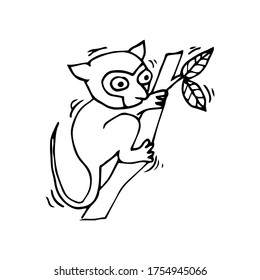 Cute little tarsius tarsier in cartoon style on white background, vector illustration. Coloring page.