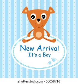 cute little teddy bear boy arrival