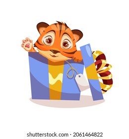 Cute little tiger is sitting in gift box on white background. Symbol of new year 2022. Chinese New Year of the tiger.