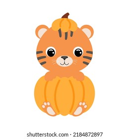 Cute little tiger sitting in a pumpkin. Cartoon animal character for kids t-shirts, nursery decoration, baby shower, greeting card, invitation. Vector stock illustration