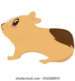 cute little tricolor guinea pig with a white stripe on the face, side view, cute domestic rodent, vector illustration in flat style