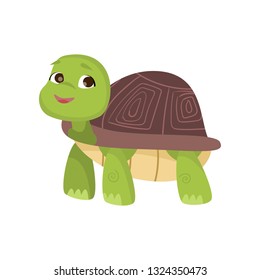 Cute little turtle stands on four paws looking up and smiling isolated on white background