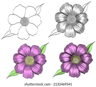 linda flor vectorial sin salida y boceto.