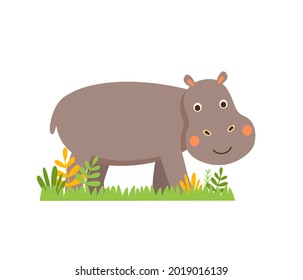 Cute little vector hippo in cartoon style isolated on white background. Baby hippo stands in green grass