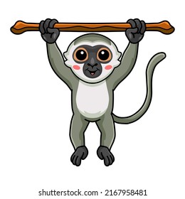 Cute little vervet monkey cartoon hanging on tree