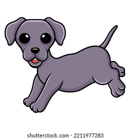 Cute little weimaraner dog cartoon