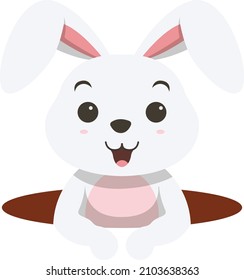 Cute little white bunny out from hole