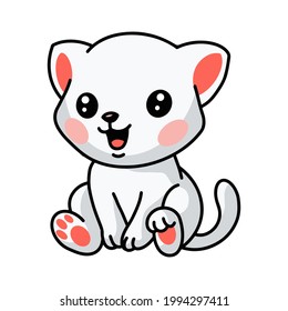 Cute little white cat cartoon sitting