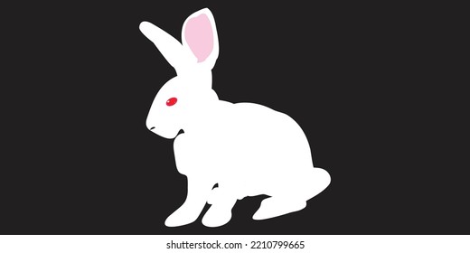 cute little white easter bunny isolated on black background