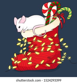 Cute little white mouse in christmas socks with garland and candy symbol of chinese new year 2020 in cartoons style. Hand draw vector illustration of mice symbol of new year.