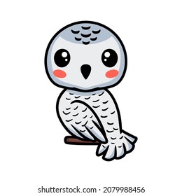 Cute little white polar owl cartoon