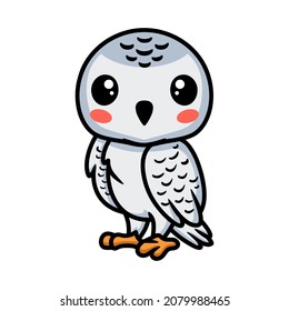 Cute little white polar owl cartoon
