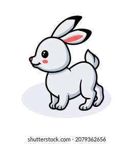 Cute little white rabbit cartoon