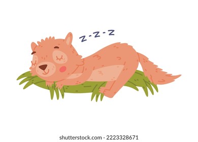 Cute Little Xerus Character with Pretty Snout Sleeping on Green Grass Vector Illustration