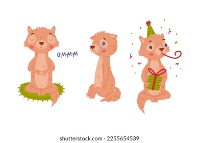 Cute Little Xerus Character with Pretty Snout Meditating, Crying and Blowing Whistle Vector Set