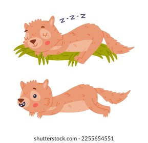 Cute Little Xerus Character with Pretty Snout Lying and Sleeping Vector Set