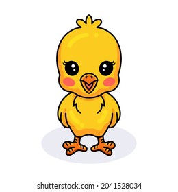 Cute little yellow chick cartoon