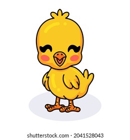 Cute little yellow chick cartoon