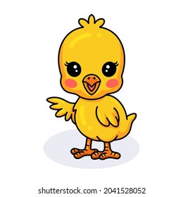 Cute little yellow chick cartoon