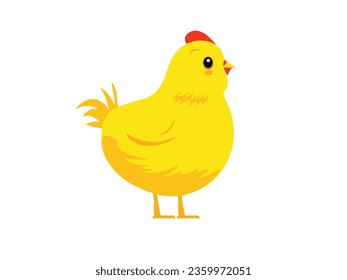 Cute little yellow chicken, vector illustration