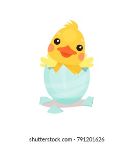 Cute Little Yellow Duck Chick Character Hatching From The Egg Cartoon Vector Illustration