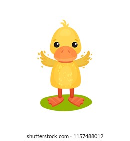 Cute little yellow duckling character waving wings vector Illustration on a white background