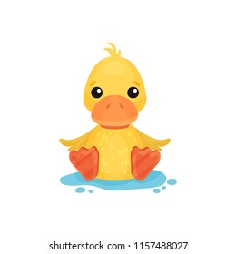 Cute little yellow duckling character sitting in a puddle vector Illustration on a white background