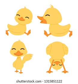 Cute little  yellow Ducks set