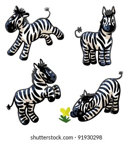 Cute little zebra