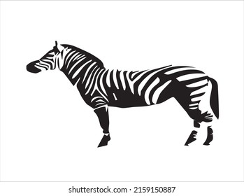 Cute little Zebra Free Vector.eps
