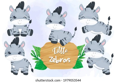 Cute little zebras in set in watercolor illustration