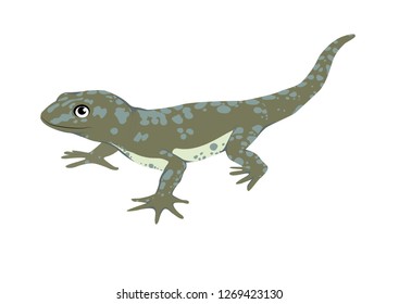 Cute lizard in color simply stile 