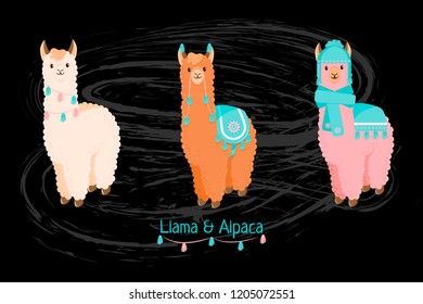 Cute llama or alpaca flat characters set for nursery design, poster, banner, logo, icon, greeting card, sticker. Baby llama or little alpaca for wool producer. Cartoon animal in scarf and with pompons