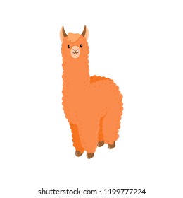 Cute llama or alpaca flat vector character for nursery design, poster, banner, logo, icon, greeting card, sticker. Baby llama or little alpaca for wool producer. Cartoon animal illustration.