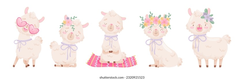 Cute Llama oder Alpaca Fluffy Character with Pretty Snout Vector Set