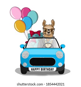 Cute llama, alpaca for poster, greeting, birthday card and party decor. Vector illustration