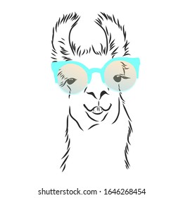 Cute llama alpaca with rainbow glasses 