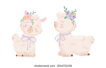 Cute Llama or Alpaca Sitting with Floral Adornment on Its Head Vector Set